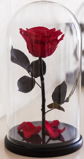 Невянущая роза в стеклянной колбе